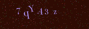 Validation image