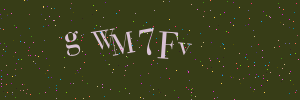 Validation image