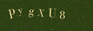 Validation image