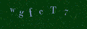 Validation image