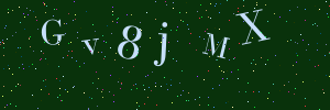 Validation image