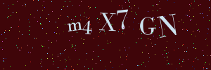 Validation image