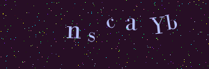 Validation image