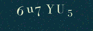 Validation image
