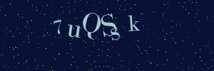 Validation image