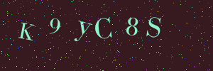 Validation image