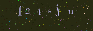 Validation image