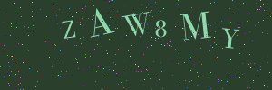 Validation image