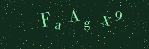 Validation image