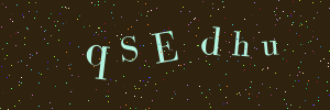 Validation image