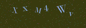 Validation image