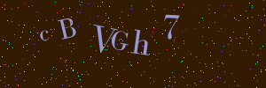 Validation image